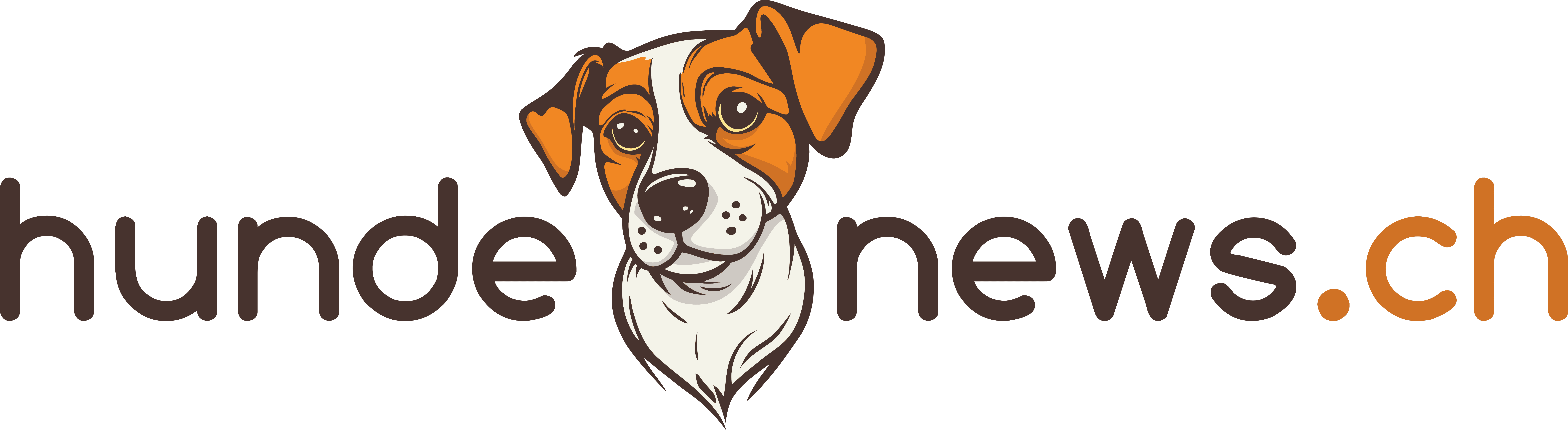 hundenews.ch – das Magazin für alle, die Hunde lieben